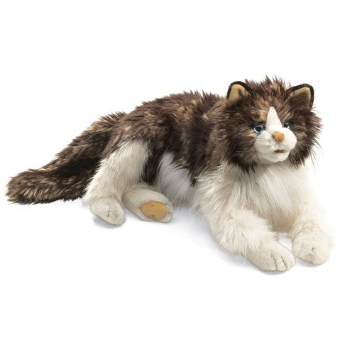 Ragdoll Cat Hand Puppet #2558